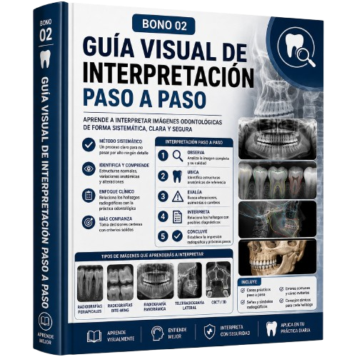 Bono 02 - Guía Visual de Interpretación Paso a Paso